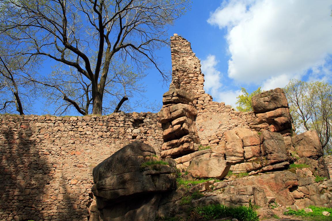 Janowice Wielkie